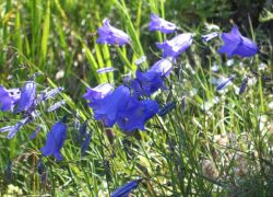 Suedtirol_Juli_2004_024_1119009912